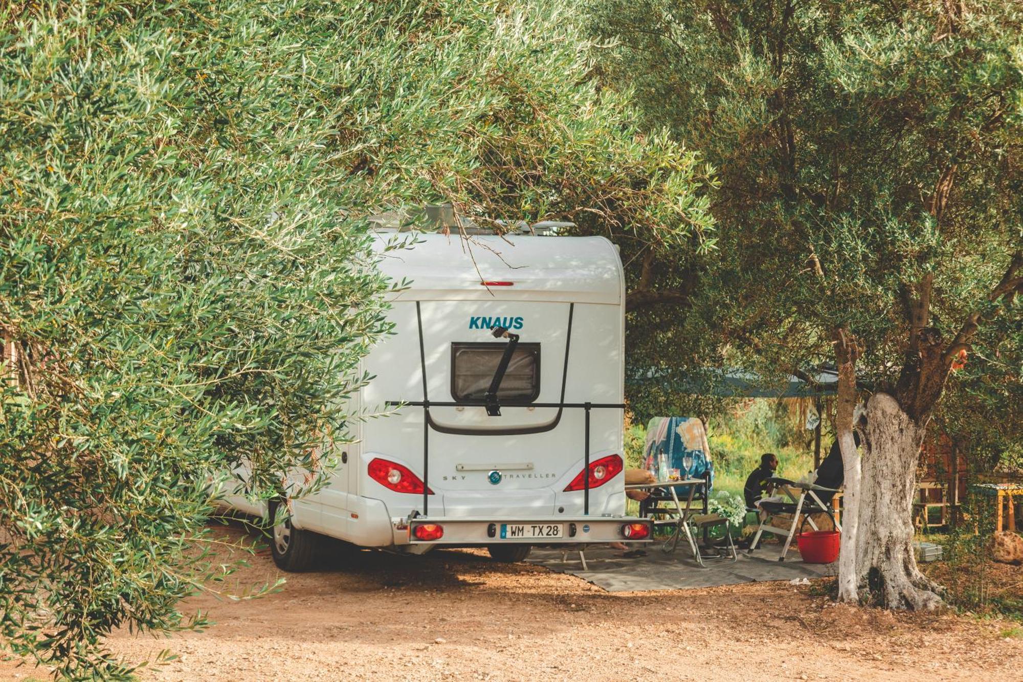 Olive Camping Himarë Eksteriør billede