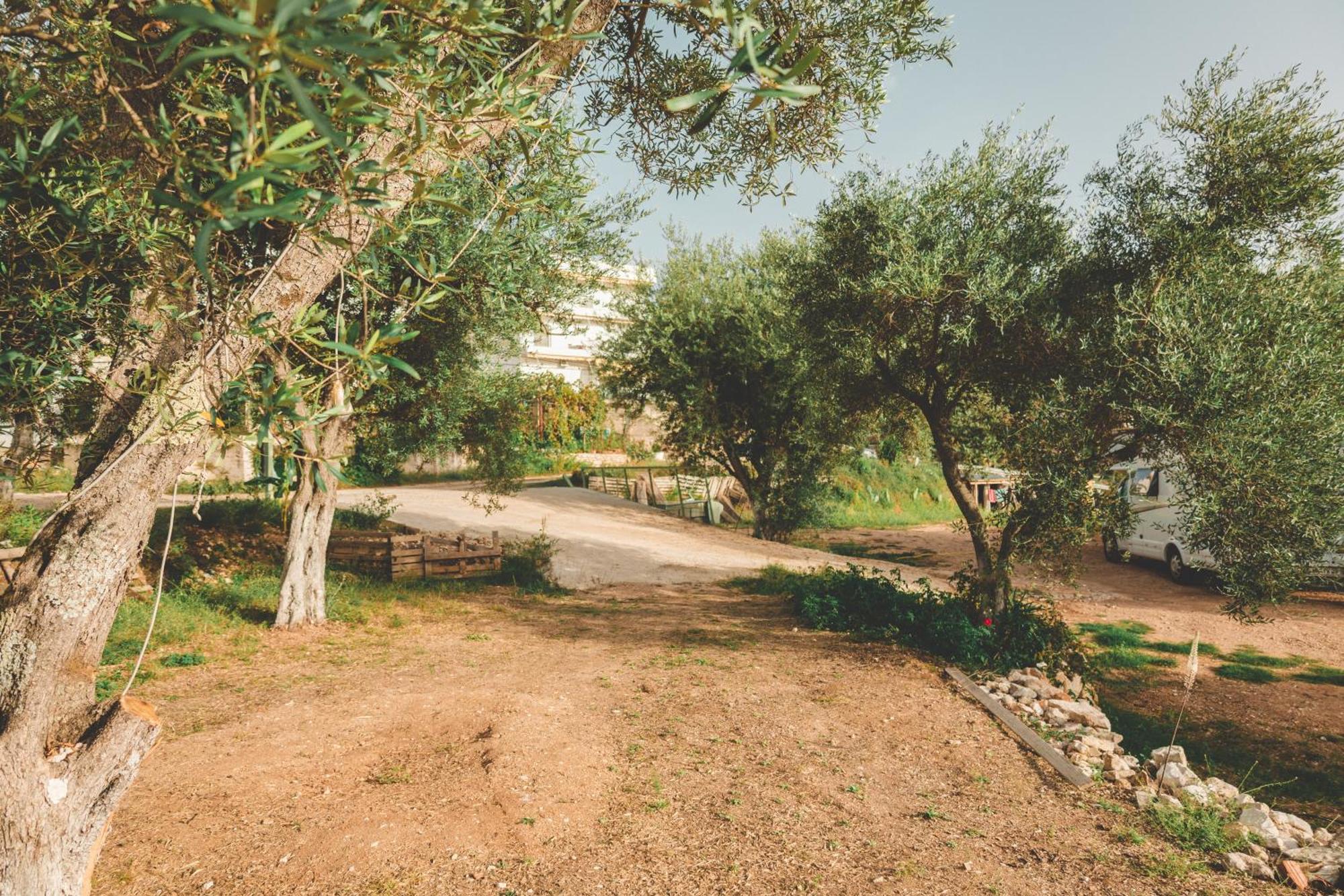 Olive Camping Himarë Eksteriør billede