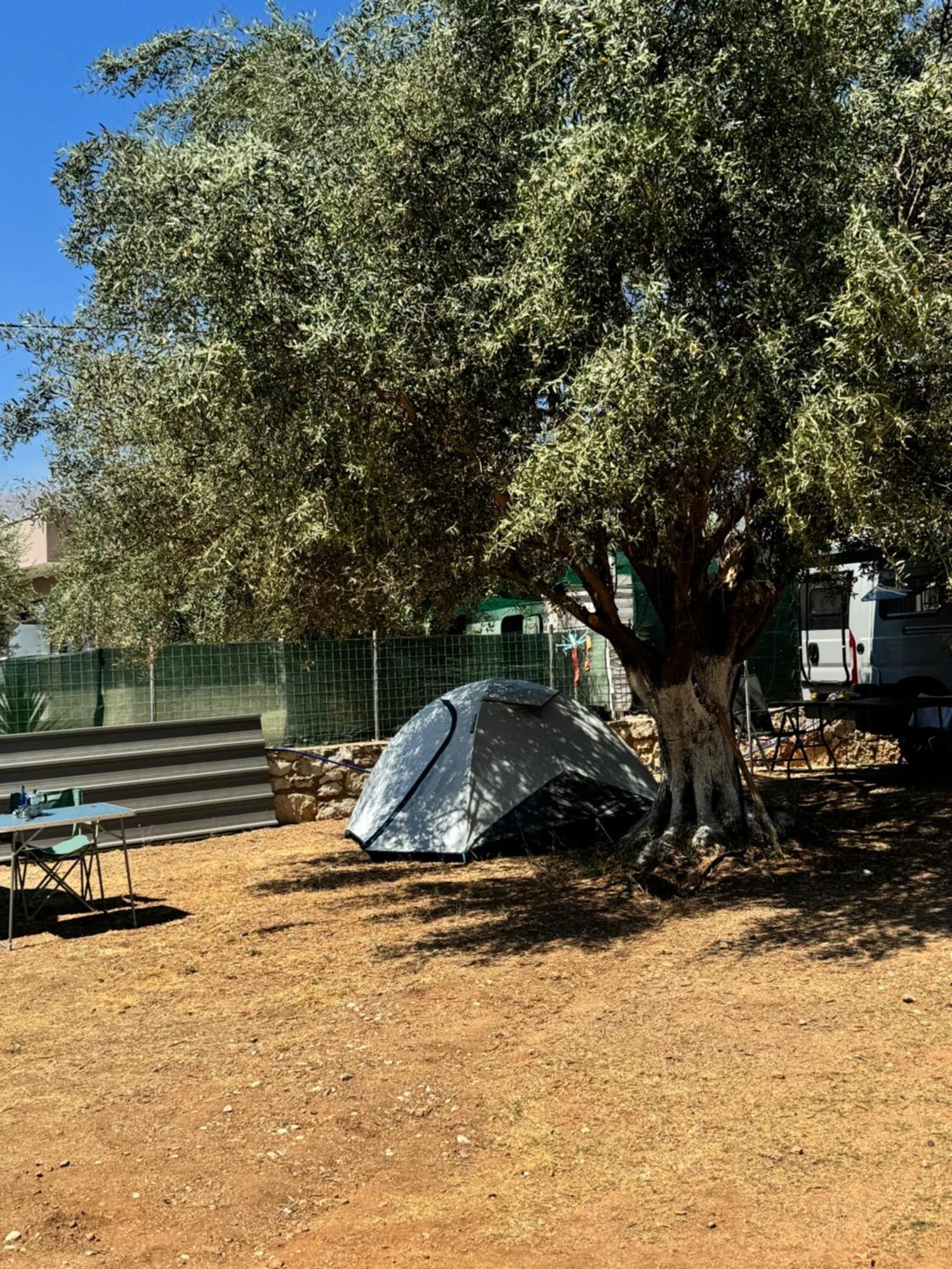 Olive Camping Himarë Eksteriør billede